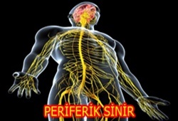 periferik